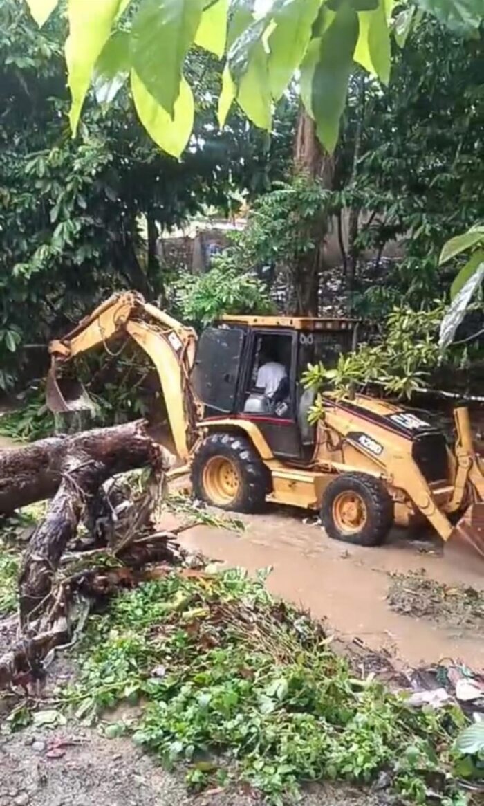 La imagen tiene un atributo ALT vacío; su nombre de archivo es rio-700x1165.jpg